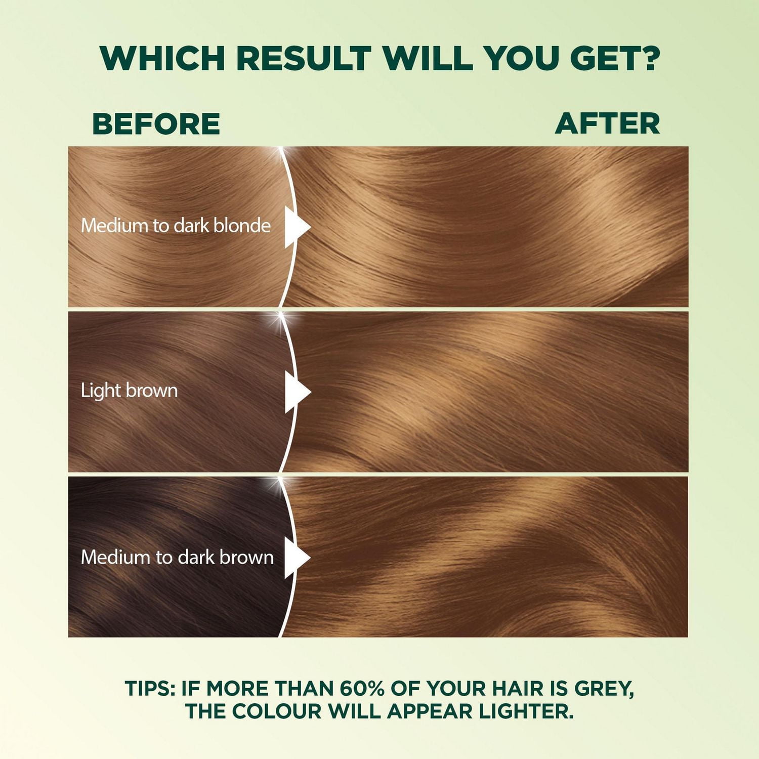 Garnier Nutrisse Ultra Crème, Permanent Hair Dye, Long-Lasting,1 unit, 100% Grey Coverage