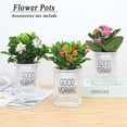 thumbnail image 4 of Balcony Outdoor Garden Supplies Green Dill Succulents Purifying air Auto Irrigate Hydroponic Planters Plant Pot Flower Pots Home Decor A 15CM, 4 of 8