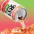 thumbnail image 4 of Ryl Iced Tea Watermelon 4 Pack, Zero Sugar Iced Tea, Antioxidant Superblend, 4 x 16 fl oz Cans, 4 of 8