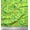 Lime Green, variant on Soimoi Brown Cotton Duck Fabric Leaves,Aster & Floral Printed Fabric 1 Yard 42 Inch Wide
