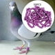 thumbnail image 4 of 100 Anillos de aluminio para patas de palomas Sunnimix bandas numeradas 8mm rojo y violeta, 4 of 8