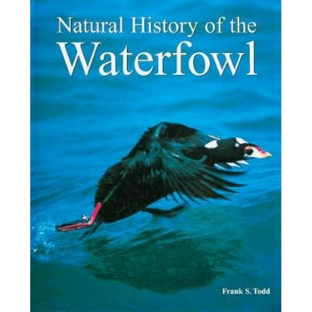 Todd, F: Histoire Naturelle de la Sauvagine