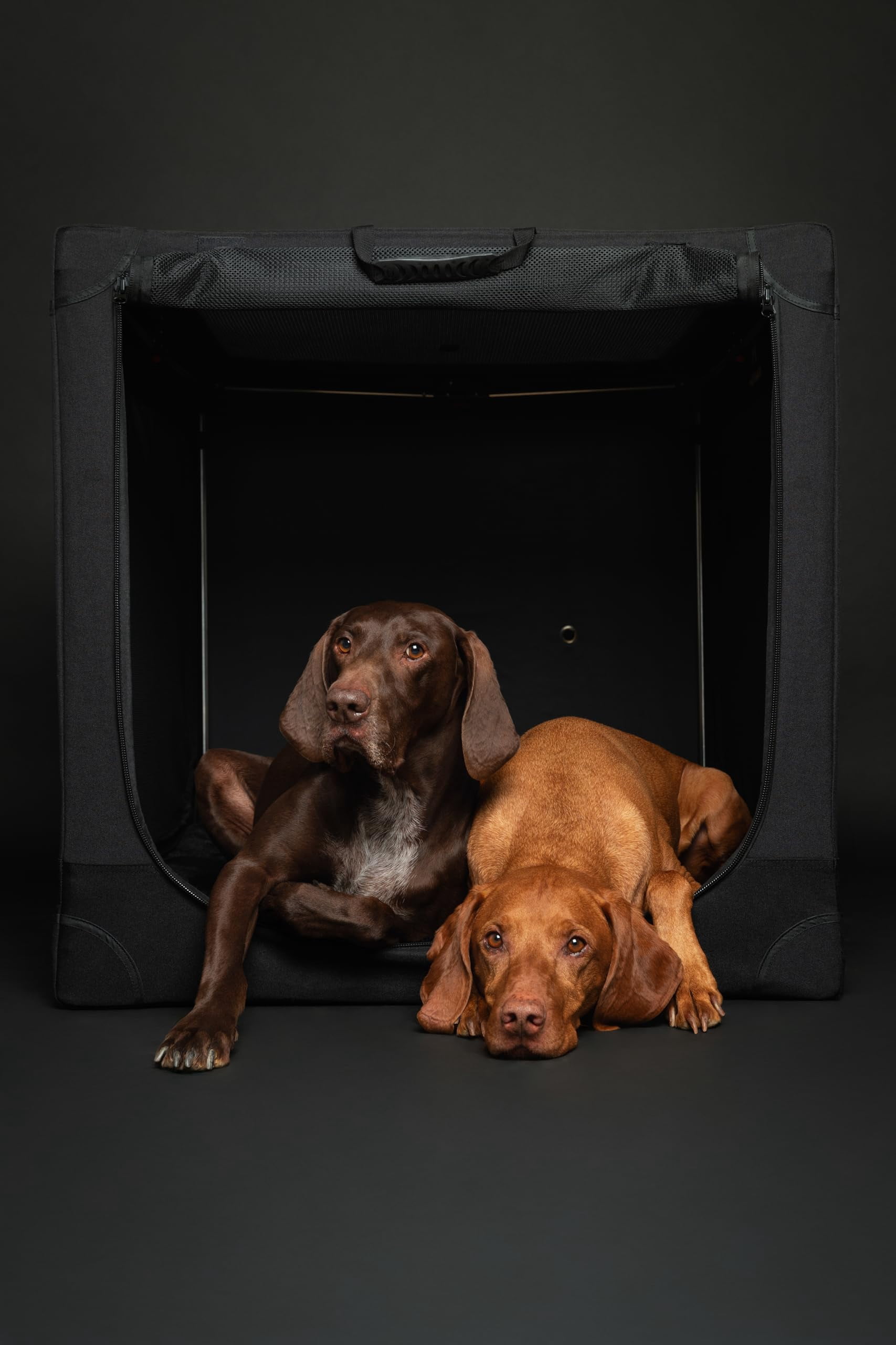 Collapsible Dog Crate 26 Inch  Small For Medium Breeds Travel Kennel Car Including Pet Mat Cage 2 Storage Pockets Handbag 10mm Locking Zipper 26 * 17 17