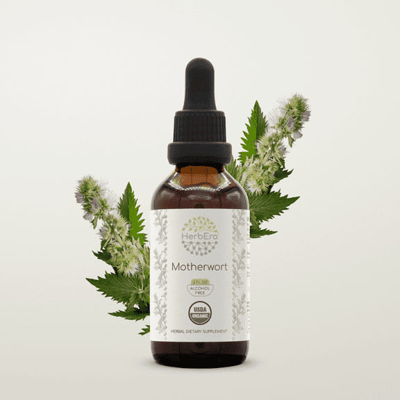 HerbEra Motherwort Tincture, Organic Herbal Dietary Supplementfor Women’s Wellness Support, Certified Organic Motherwort (Leonurus cardiaca) Dried Herb Extract, Natural, Alcohol-Free, Drops 2 oz