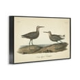 thumbnail image 4 of Stupell Industries Long Legged Sandpiper Animals & Insects Painting Black Framed Art Print Wall Art, 30 x 20, 4 of 10