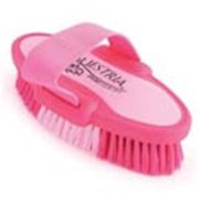 6.75 Inch Small Equestrian Sport Oval Body Brush - Pink - 2171-1