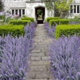 thumbnail image 3 of Bienvenido 4 piezas de flores artificiales flocadas de plástico lavanda paquete de plantas falsas ramo de brida de boda interior al aire libre hogar cocina oficina mesa centros de mesa arreglos, 3 of 8