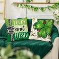 thumbnail image 4 of Happy St. Patrick''s Day Decorative Throw Pillow Covers 18x18 Set of 4, Lucky Blessed Shamrock Clover Mason Jar Cushion Case Decor, Buffalo Plaid Farmhouse Irish Holiday Home Decoration for Sofa, 4 of 5