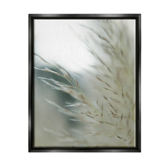 Stupell Industries Tranquil Wheat Pampas Grass Photography Photograph Jet Black Floating Framed Canvas Print Wall Art, Design by Jason Johnson