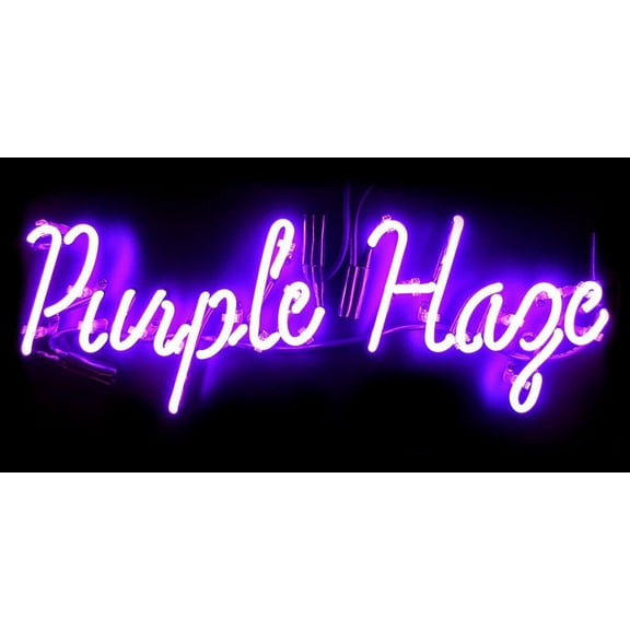Queen Sense 20"x16" Purple Haze Neon Sign Man Cave Handmade Neon Light 120PH