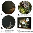 thumbnail image 3 of Designart "Still Life Of Succulent Array I" Succulent Floater Framed Wall Decor, 3 of 5