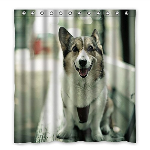 ABPHQTO Cortina de ducha de baño de poliéster impermeable Husky 160x180 cm