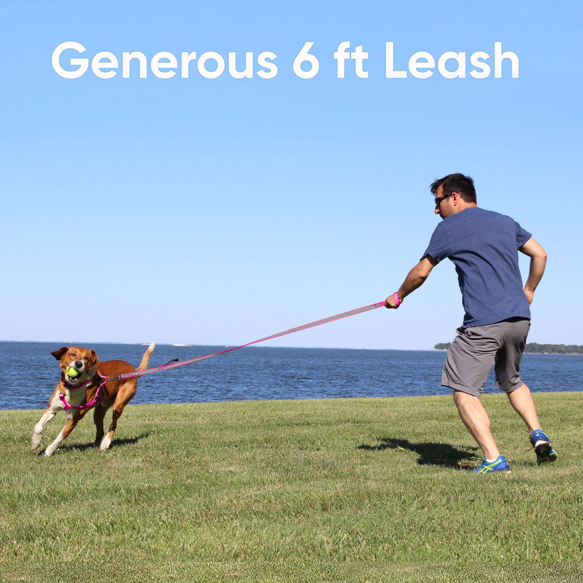 Pawtitas Double Handle Dog Leash Ideal for Medium and Large Dogs Training Dog Leash - Medium / Large - Purple Orchid