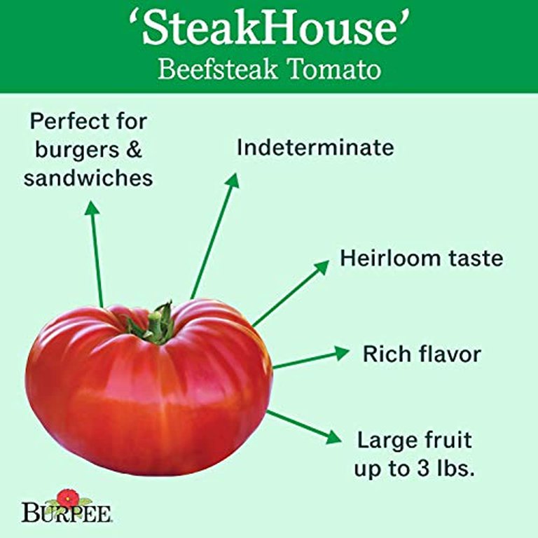Burpee Steakhouse Tomato Plants Discounts
