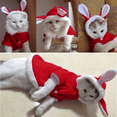 thumbnail image 5 of Pet Hoodie Cat Rabbit Outfit with Bunny Ears Cute Sweatshirt Spring and Autumn Puppy Knitted Sweater, 5 of 5
