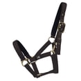 thumbnail image 1 of Hy Collier de Tête Fieldsafe, 1 of 1
