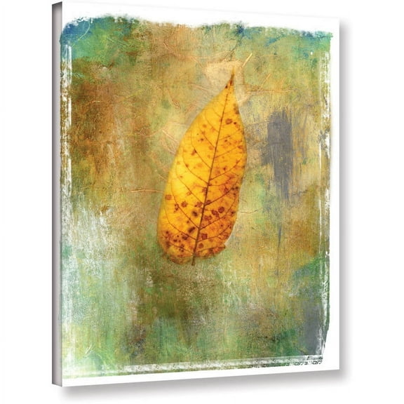 ArtWall Elena Ray " Leaf II " Gallery-Wrapped Canvas