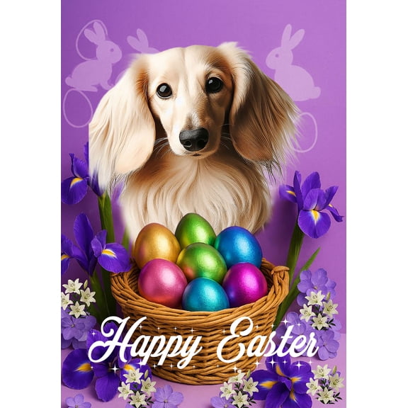 Dachshund Cream Longhaired - Best of Breed Easter Holiday Outdoor Garden Flag 12" x 17" Mailbox Flag Dog Flag