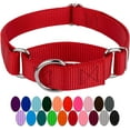 thumbnail image 1 of HSHDLDF Martingale Heavyduty Nylon Dog Collar (Medium, 1 Inch Wide, Red), 1 of 7