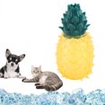 thumbnail image 3 of Mordedor Congelable Con Forma De Fruta Para Perros, Para La Dentición En Verano, Juego Interactivo, 3 of 5