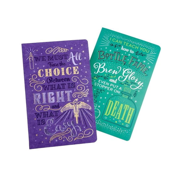 Harry Potter Harry Potter: Character Notebook Collection (Set of 2): Dumbledore and Snape, (Paperback)