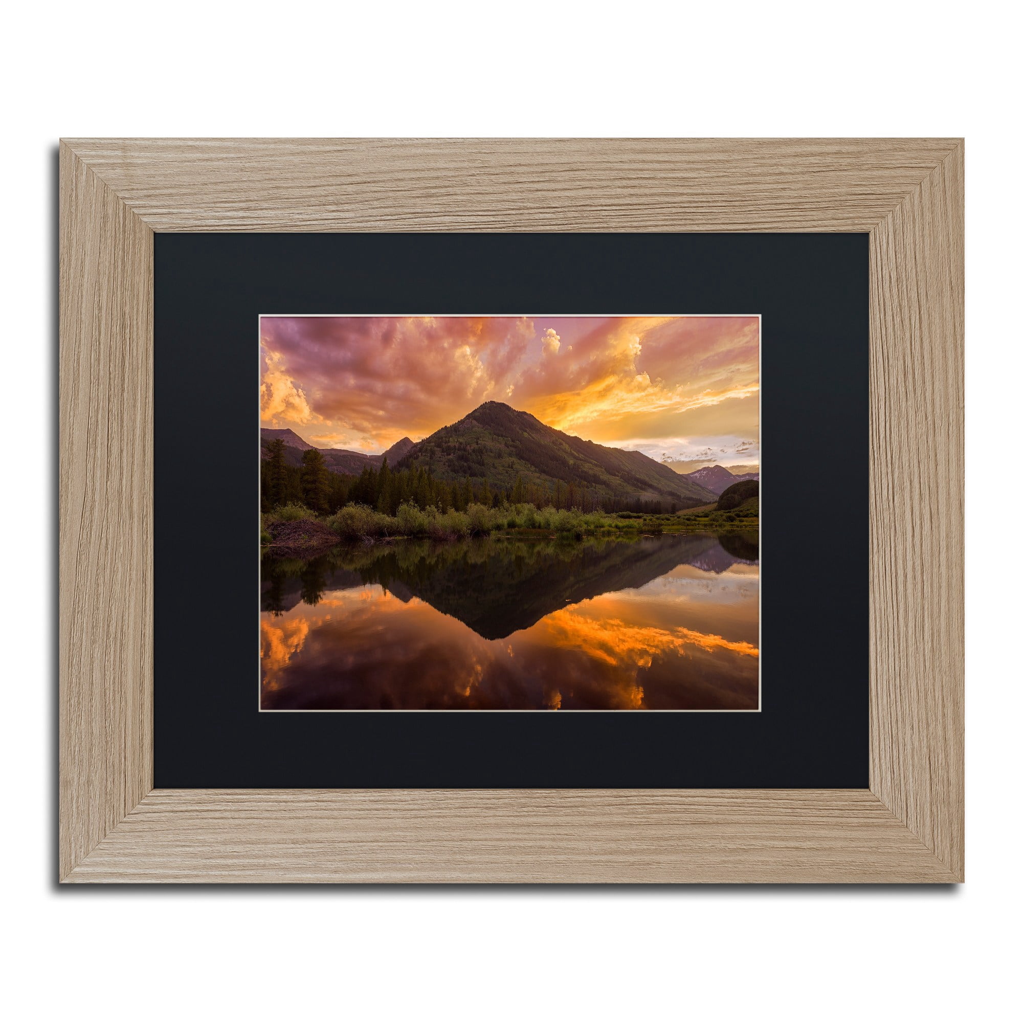 Trademark Fine Art "Orange Majesty" Canvas Art by Michael Blanchette Photography Black Matte, Birch Frame