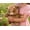 D, variant on Yardvibe Running Cow Plush, 17.7" Moving Legs Stuffed Animal Plushies for Adults, Soft Cute Furry Farm Animal Gift for Cow Lovers (C)
