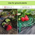 thumbnail image 3 of Paquete de 10 soportes para fresas, estantes ajustables para cultivo de fresas, soporte para jardín,, estante para verduras para mantener la fruta elevada para evitar la pudrición del suelo oso de fresa Hogar, 3 of 5