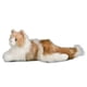 thumbnail image 3 of Peluche con forma de gato Douglas Kiki Ragdoll, 48 cm de largo, 3 of 7