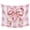 Pink, variant on Pink Floral Print Tapestry for Bedroom Wall Hanging Tapestry, Checkered Bow Rose Flower Gingham Ceiling Backdrop Tapestries Poster Blanket Wall Decor for Teens Room Living Room Dorm 39" x 59"