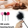 thumbnail image 2 of Brosse Érotique SM Fournitures Amusantes Chatouilleur Multicolore Optionnel, 2 of 5