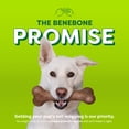 thumbnail image 6 of Benebone Essentials Bone Bacon M/L, 6 of 6