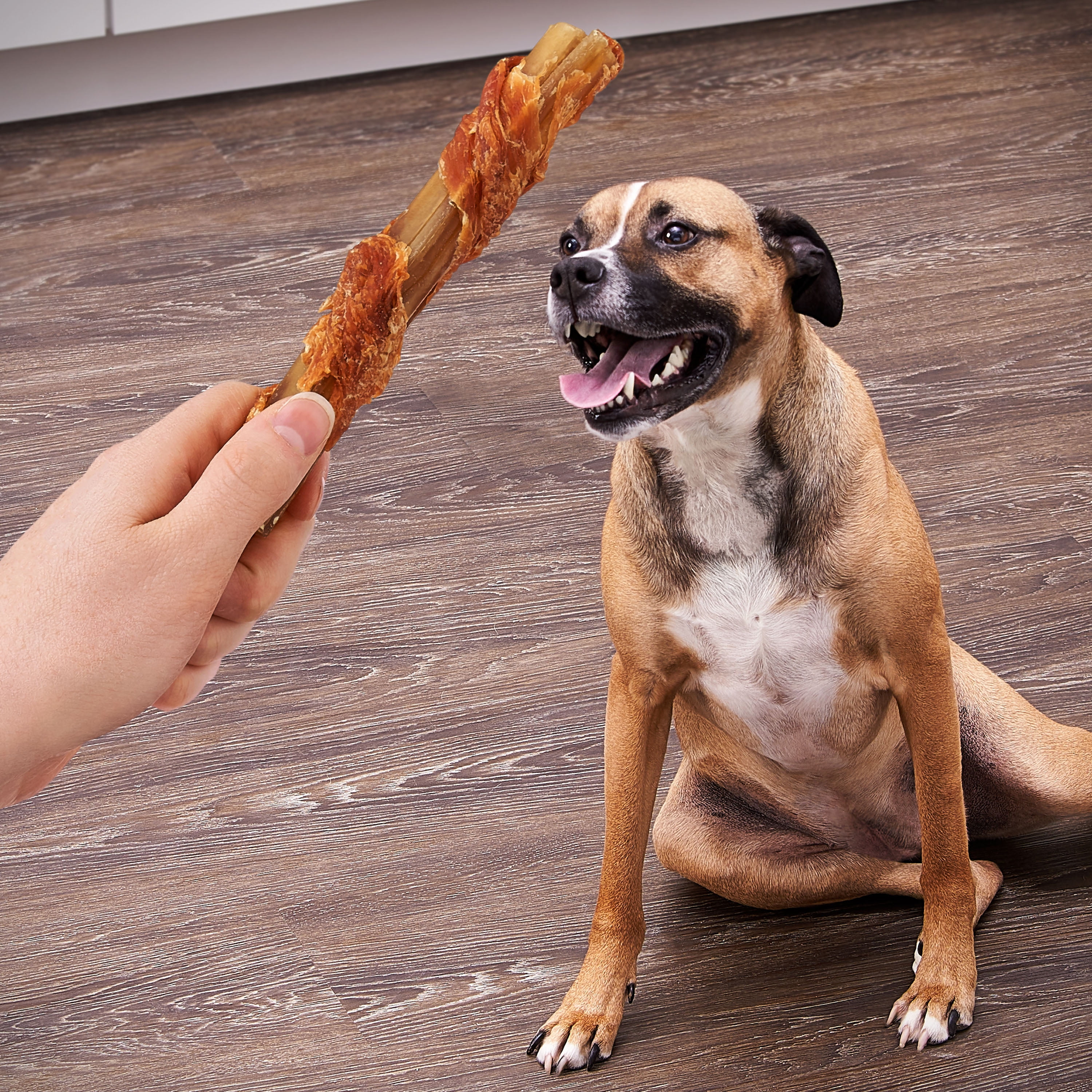 Ol' Roy Wrapped Rawhide Rolls with Chicken, Chews for Dogs, 5.93 oz, 4 Count