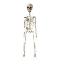 Halloween Skeleton Halloween Posable Life Size Skeleton Simulation 70cm Skeleton Decoration Realistic Bones with Movable Joints House Party Holiday Scene Decoration Props