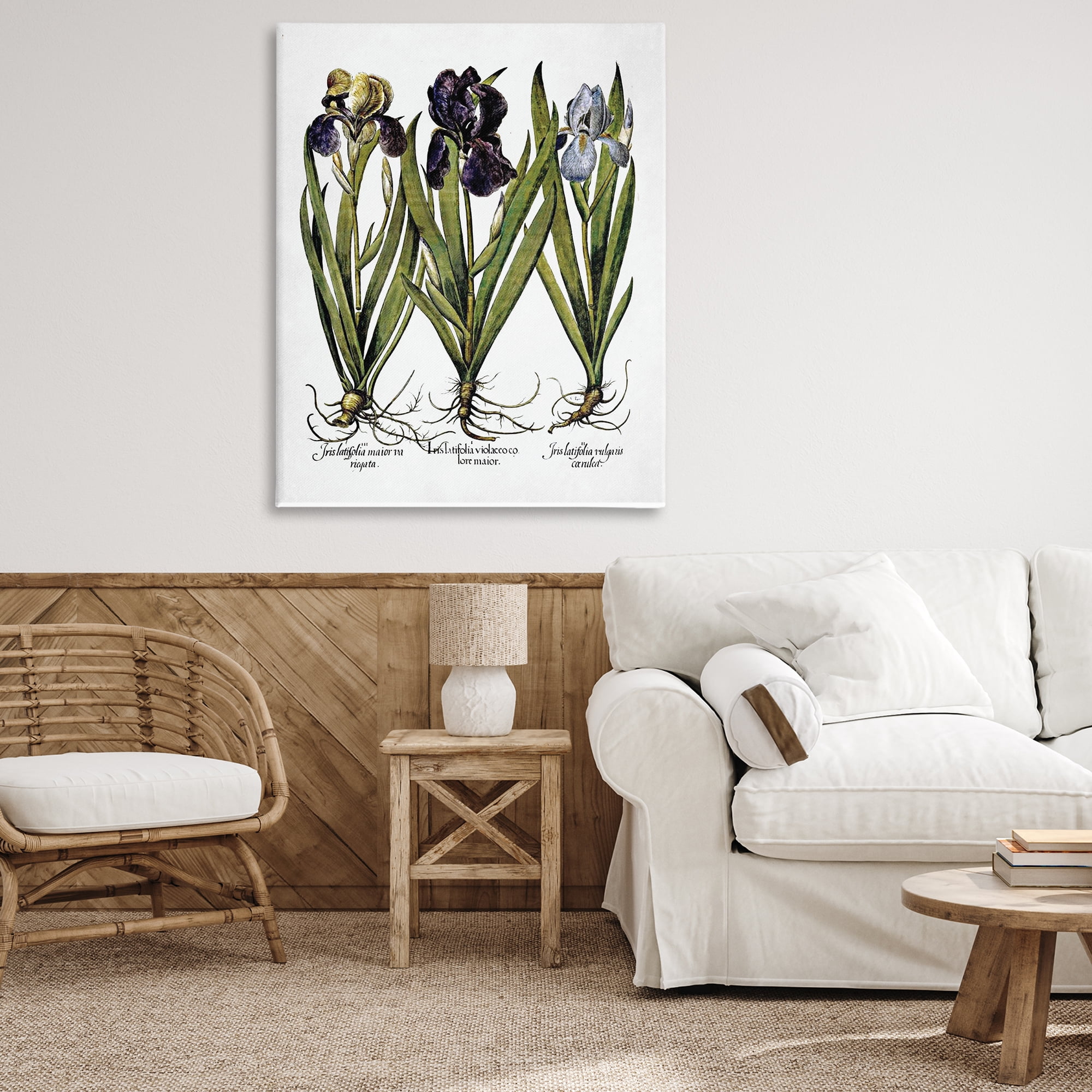 Stupell Industries Vintage Iris Studies Botanical & Floral Painting Gallery Wrapped Canvas Art Print Wall Art, 36 x 48