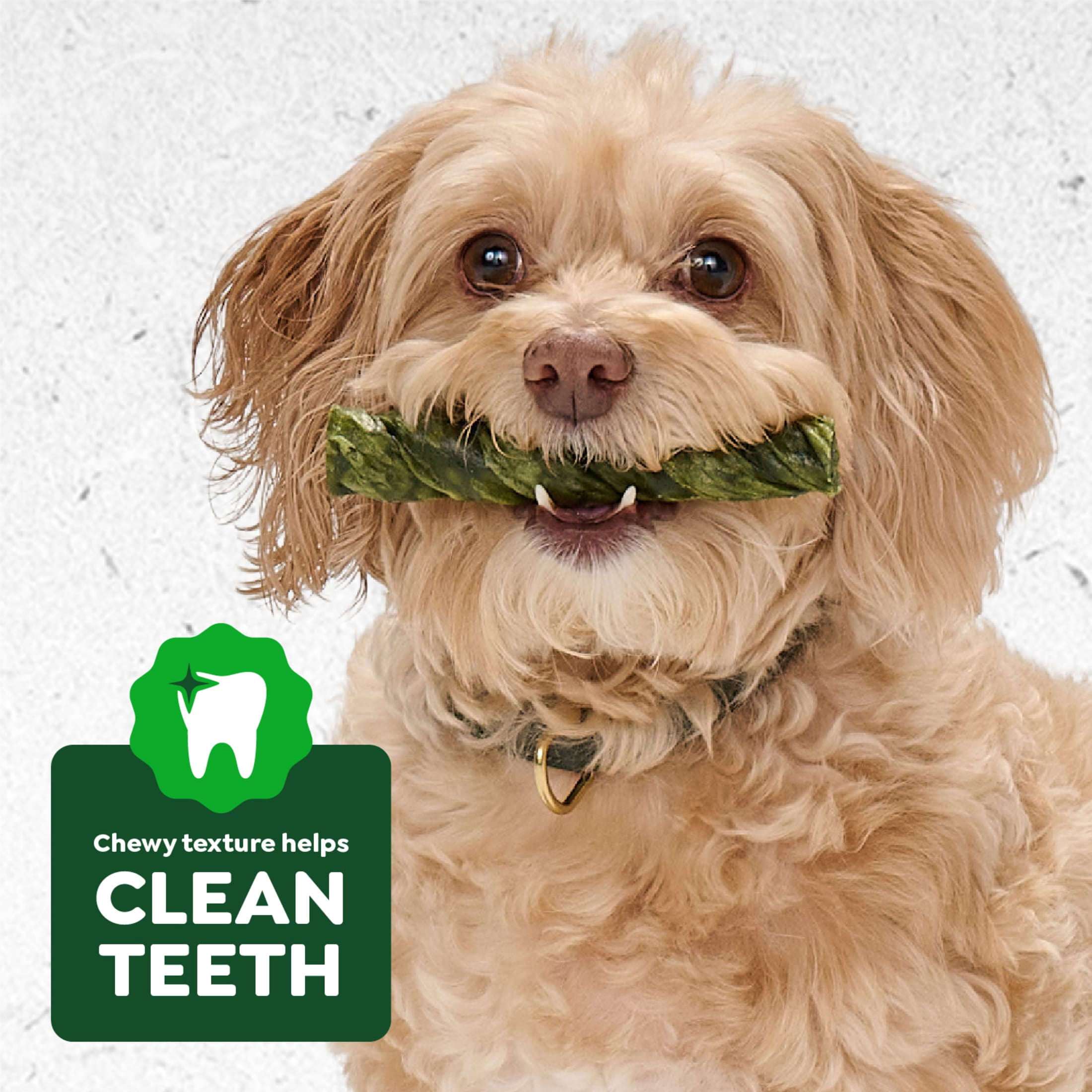 Greenies Occupy Twists Natural Dog Treats Large Breed, Chicken Flavor, 17.1 oz. Pack, 8 Count