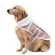 thumbnail image 1 of Ropa de Invierno de Piel de Imitación de Ciervo y Cordero Xihbxyly para Perros Grandes, 1 of 5