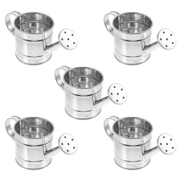 Beaupretty 5pcs Small Metal Watering Can Silver Galvanized Iron for Home Decoration