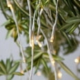 thumbnail image 4 of Wintergreen Lighting Falling Lighted Willow Branches, White Branches, 79in, Warm White LEDs, Steady Lights, Shapeable, Plug-In, 4 of 7