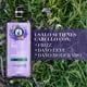 thumbnail image 3 of Shampoo Herbal Essences Anti-Frizz Lavanda & Aceite de Almendras 600 ml, 3 of 5