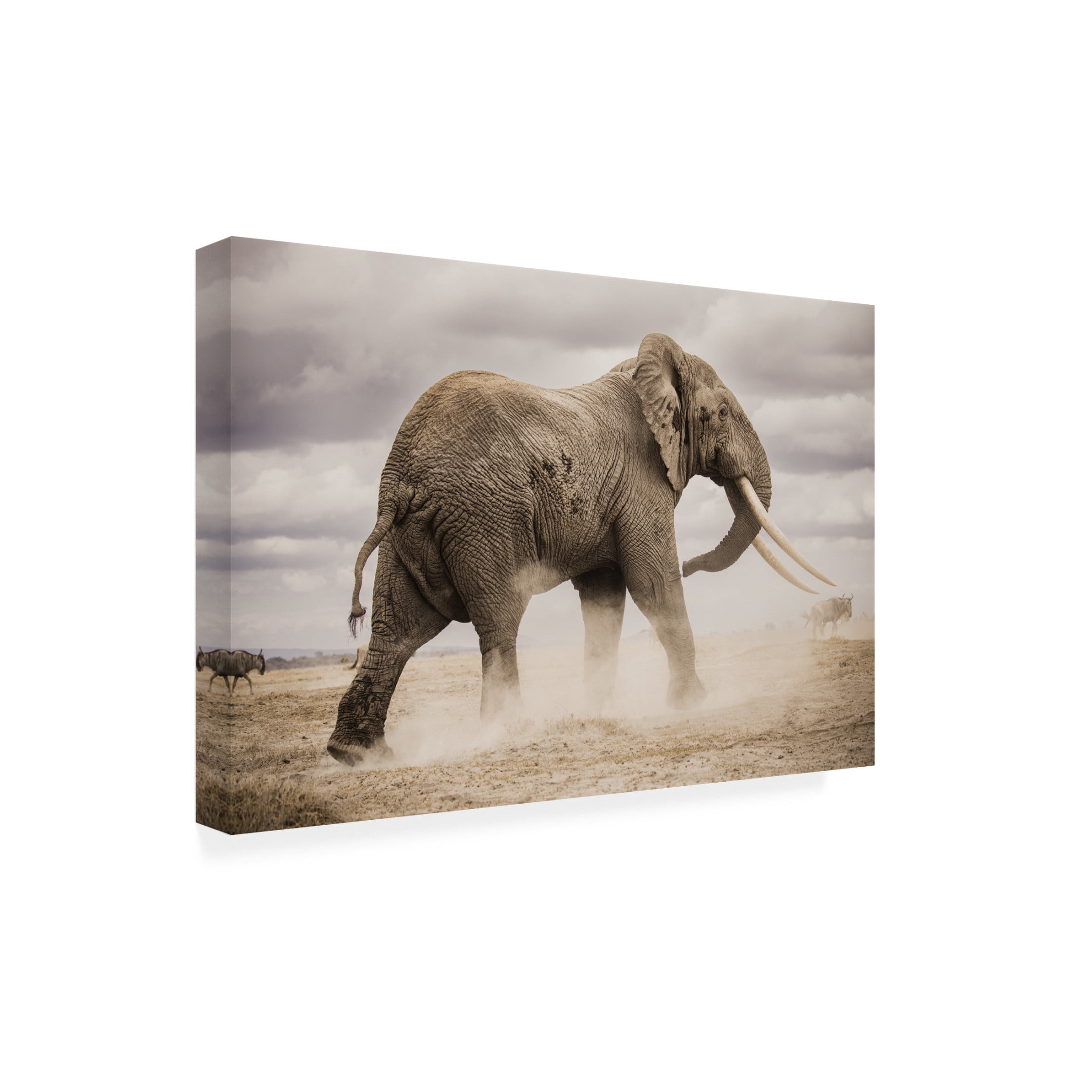 Trademark Fine Art Ali Khataw Dust Canvas Wall Art