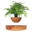 thumbnail image 1 of Light Color Levitating Air Bonsai Pot Rotation Flower Pot Planters Magnetic Suspension Floating Pot Potted Plant Home Without Plants, 1 of 1