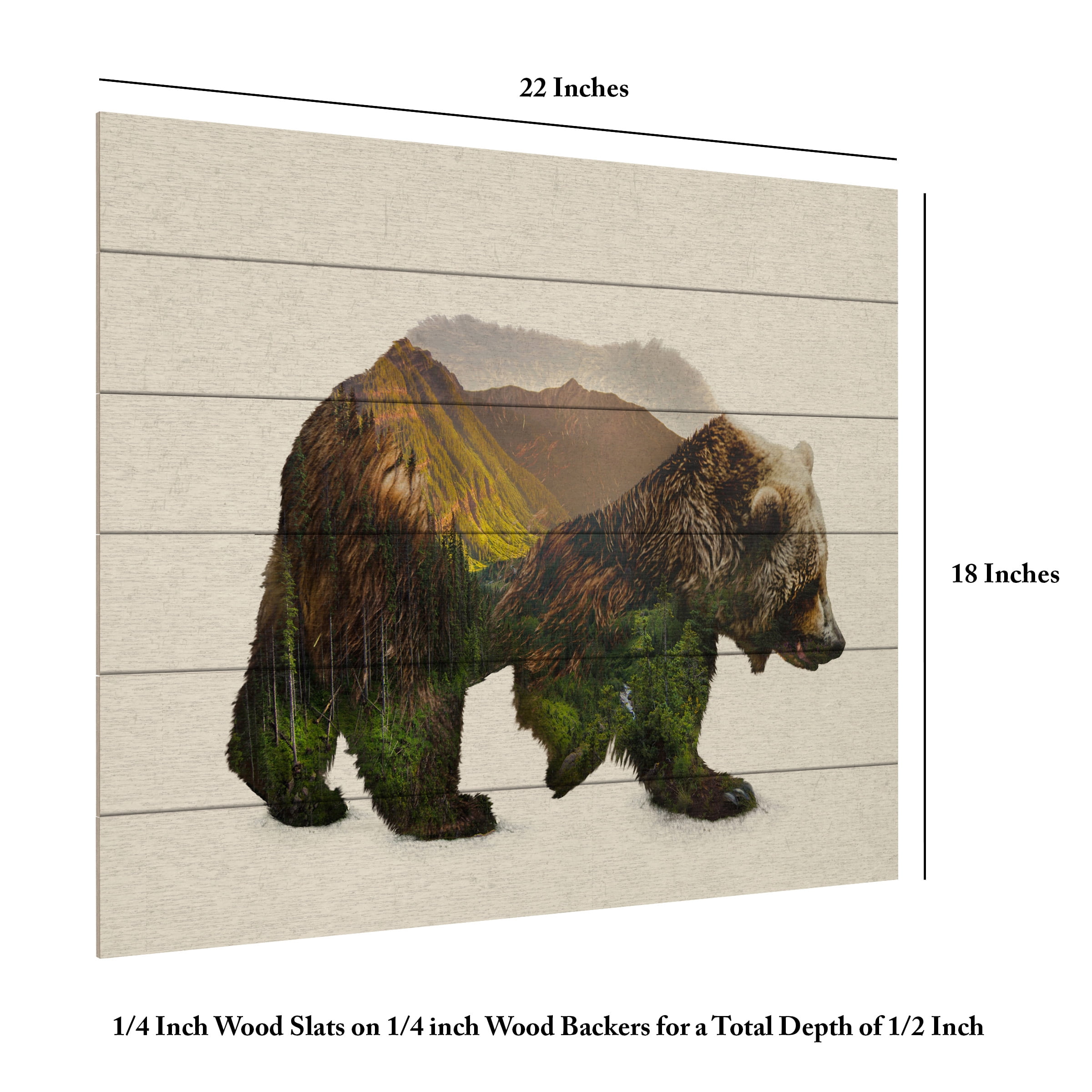 Davies Babies 'North American Brown Bear' Wood Slat Art 18x22