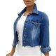 thumbnail image 4 of Moda mujer manga larga Tops prendas de vestir vaquero cuello vuelto chaqueta abrigo Pompotops gfhjh14030, 4 of 7