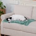 thumbnail image 5 of FurHaven Pet Products Waterproof Velvet Throw Blanket - Celadon Green, Medium, 5 of 12