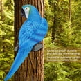 thumbnail image 4 of Escultura de jardín de loros, adorno de pájaro realista de resina, modelo de loro, figura de adorno de pájaro de juguete, diseño de clase mundial, 4 of 7