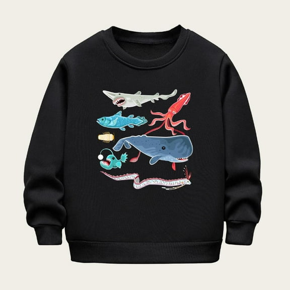Bnwani Toddler Boys Sweatshirt Crew Neck Long Sleeve Winter Warm Sweatshirt Printed Pullover