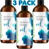 Fractionated Coconut Massage Oil Pure Body Carrier Massage Oil for Hair & Skin by Premium Nature Pack of 3 ( 3 x 16 oz )