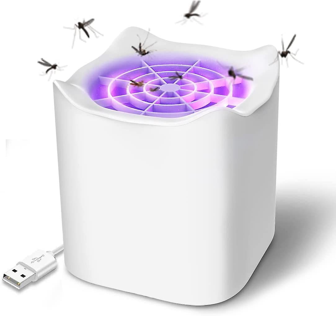 electric fruit fly zapper