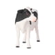 thumbnail image 1 of Modelo de vaca, modelo de vaca de simulación sólida, modelo de animal de granja, modelo animal, estética elegante, 1 of 9